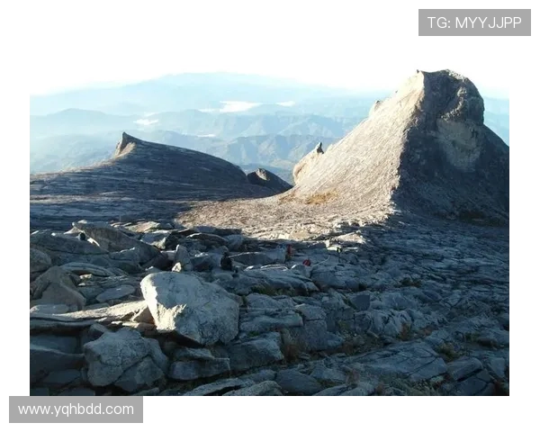 吴军独家分享攀岩技巧与心得体会助你征服高峰